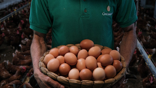 Hierro en los huevos: energía, defensas y concentración en cada porción